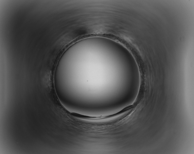 X0000088461265200705291524