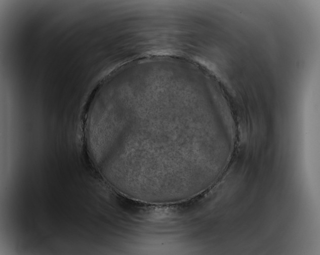 X0000088461266200705291524