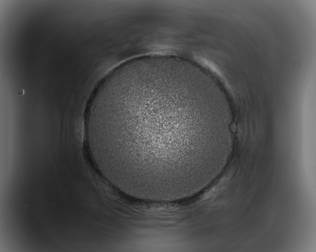 X0000088461267200705291524