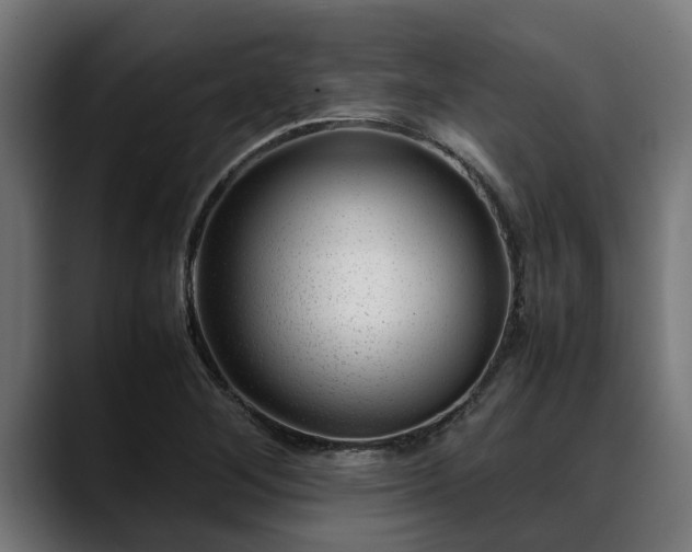 X0000088461268200705291524