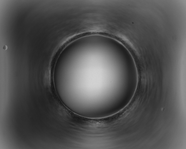 X0000088461270200705291524