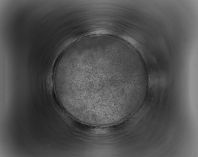 X0000088461274200705291524