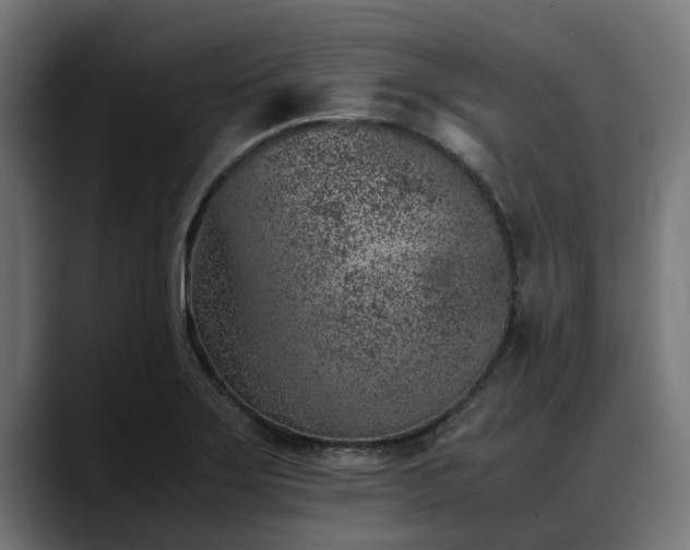 X0000088461275200705291524