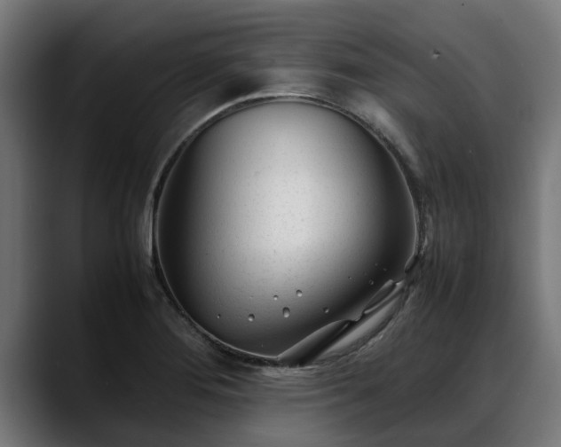 X0000088461276200705291524