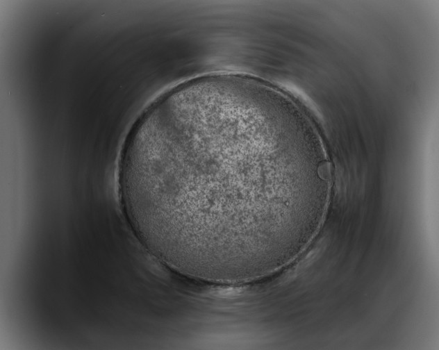 X0000088461278200705291524