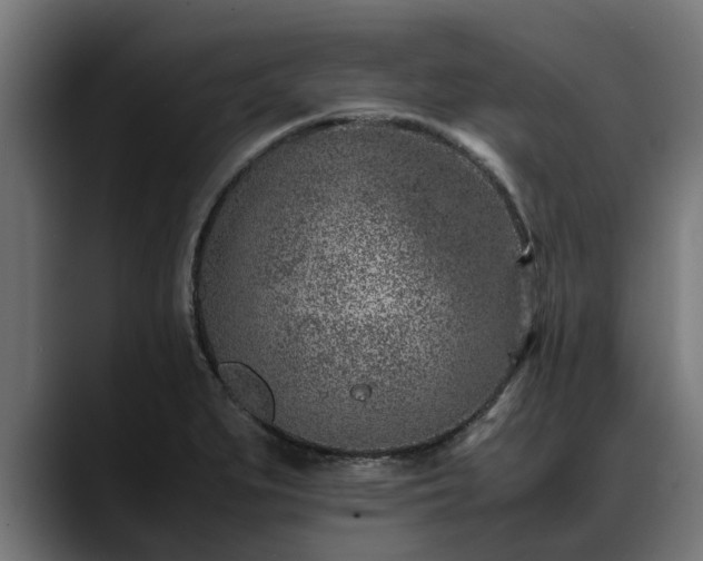 X0000088461279200705291524