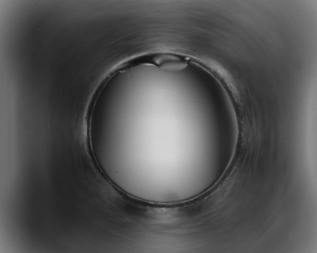 X0000088461280200705291524