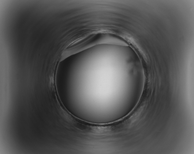 X0000088461281200705291524