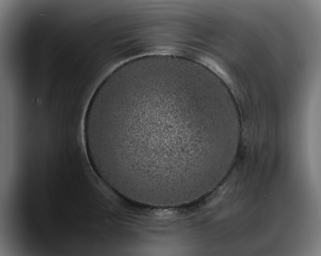 X0000088461283200705291524