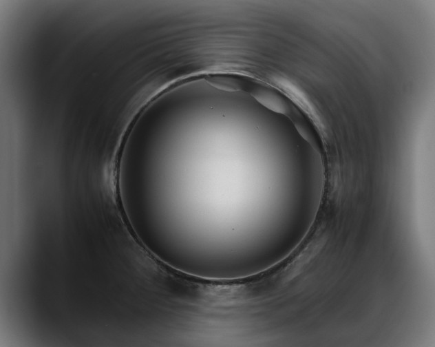 X0000088461284200705291524