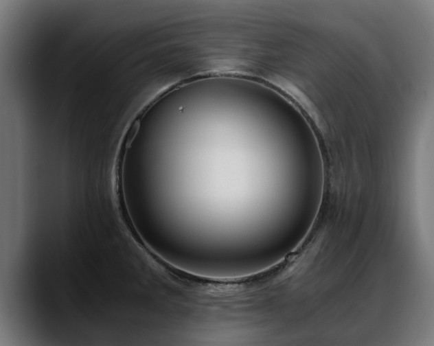 X0000088461285200705291524