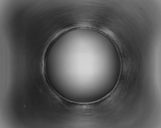 X0000088461286200705291524