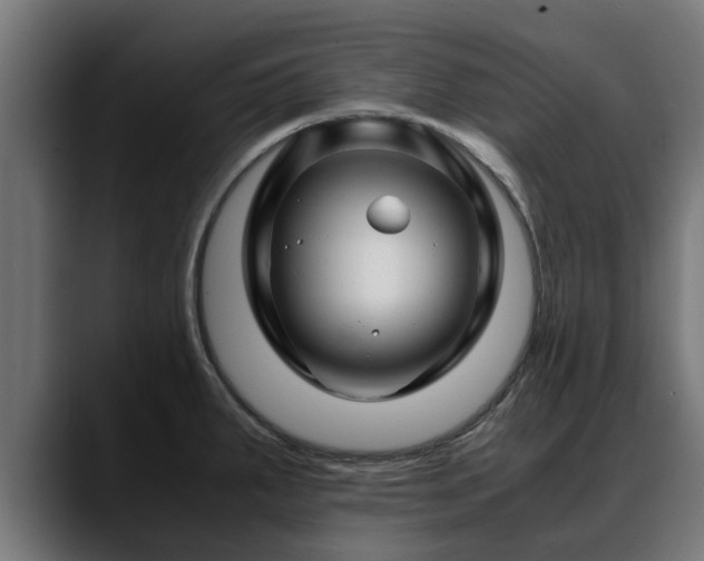 X0000088461287200705291524