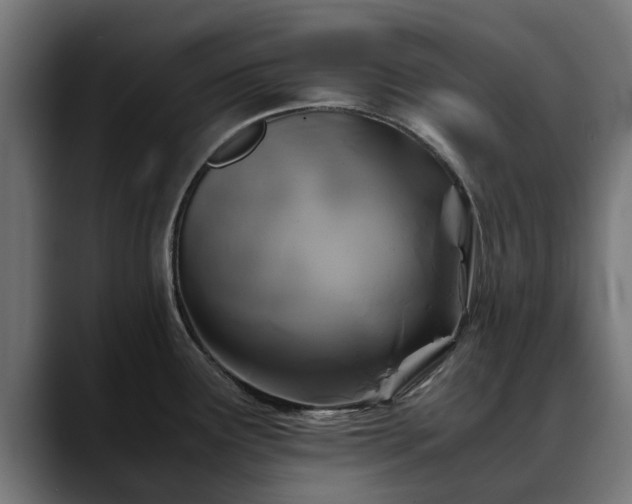 X0000088461291200705291524