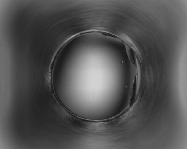 X0000088461292200705291524