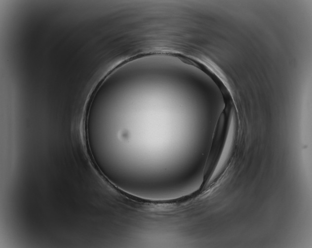 X0000088461293200705291524