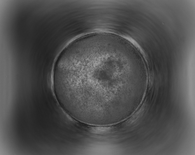 X0000088461294200705291524