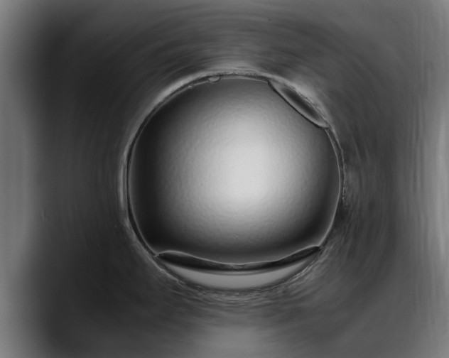 X0000088461295200705291524