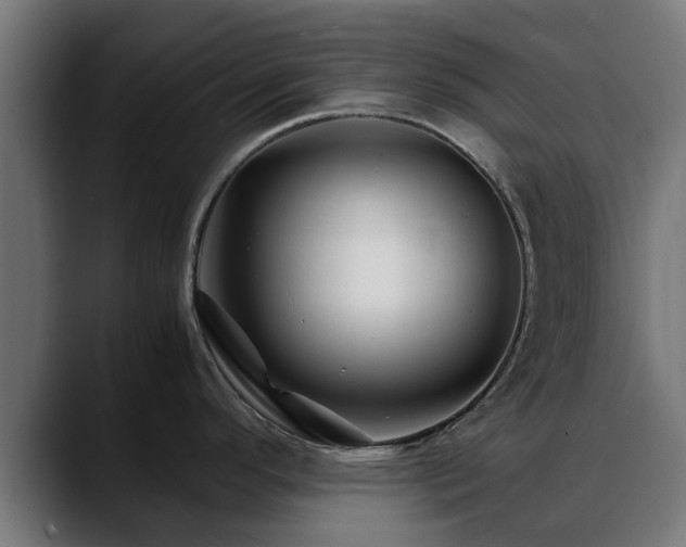 X0000088461296200705291524