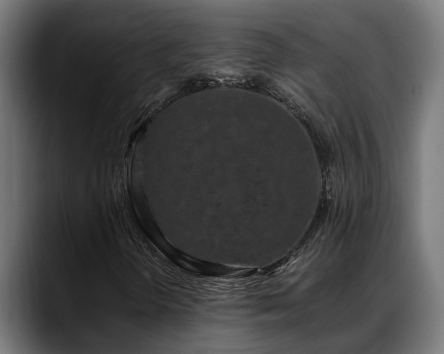 X0000088461298200705291523