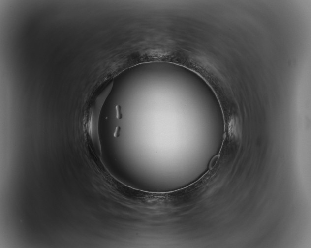 X0000088461299200705291523