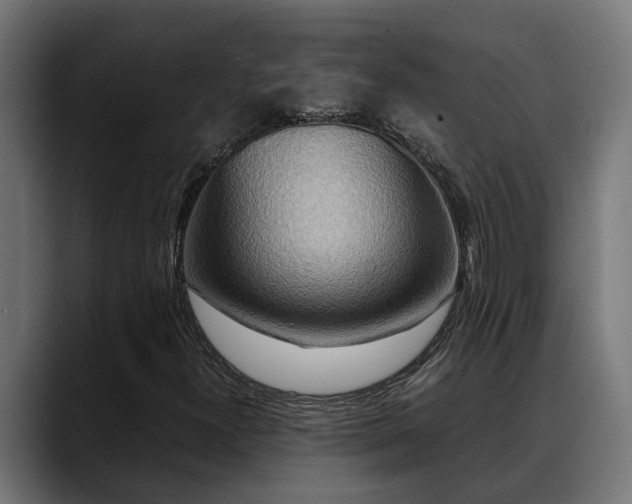 X0000088461300200705291523