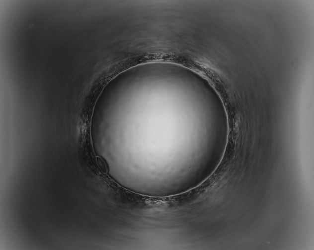 X0000088461302200705291523