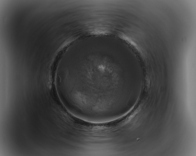 X0000088461306200705291523