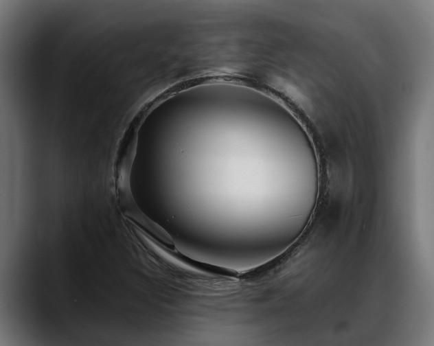 X0000088461308200705291523