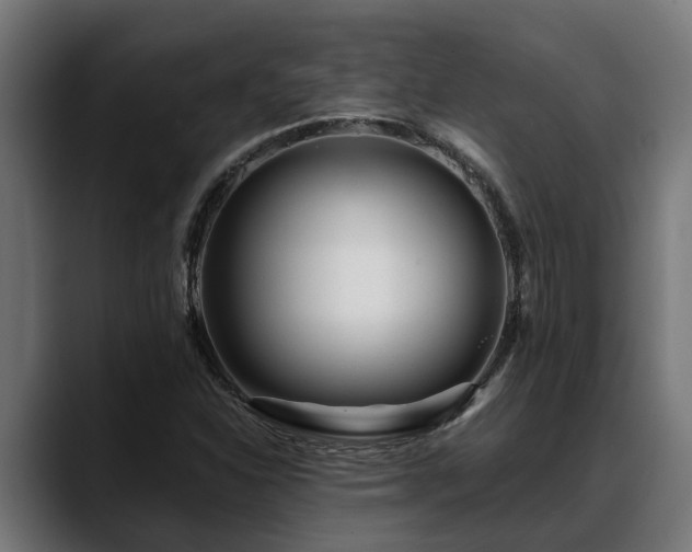 X0000088461310200705291523