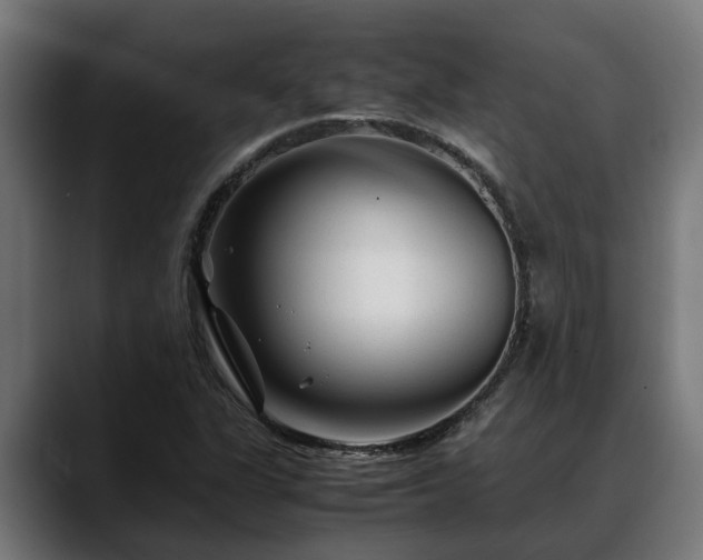 X0000088461311200705291523