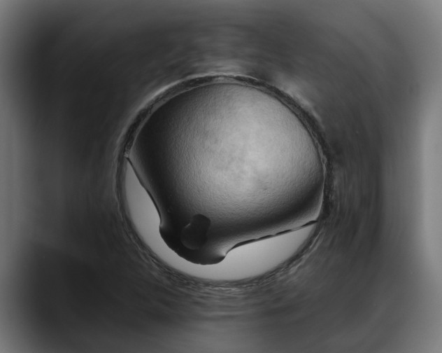 X0000088461312200705291523