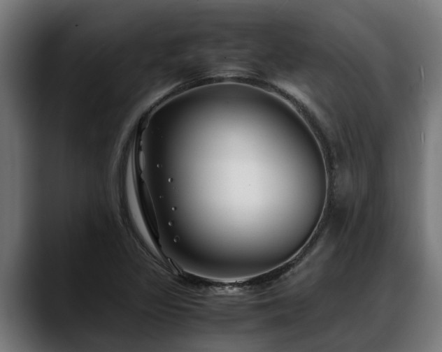 X0000088461317200705291523