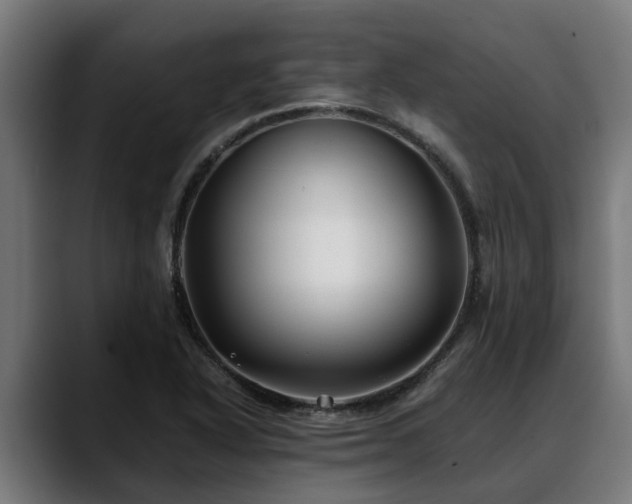 X0000088461318200705291523