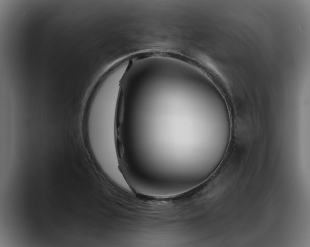 X0000088461320200705291523