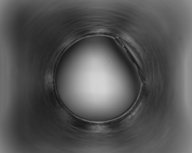 X0000088461321200705291523