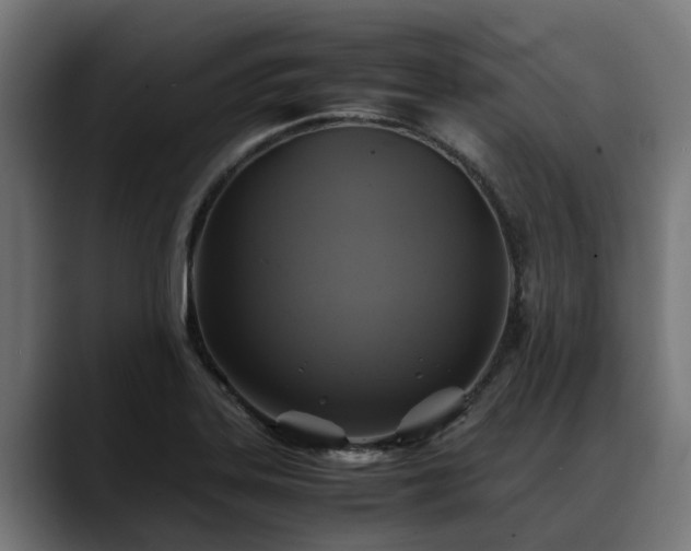 X0000088461323200705291523