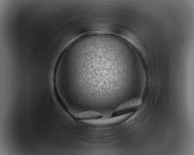 X0000088461325200705291523