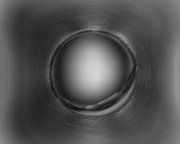 X0000088461326200705291523