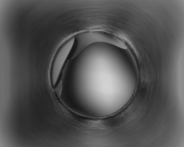 X0000088461328200705291523