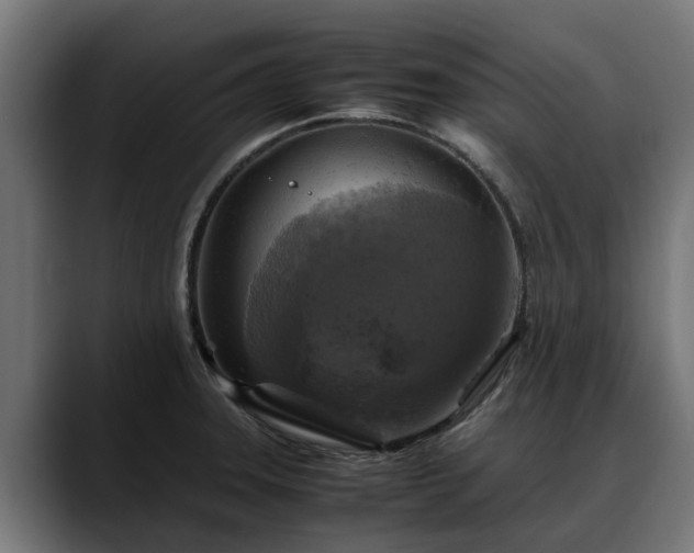 X0000088461331200705291523
