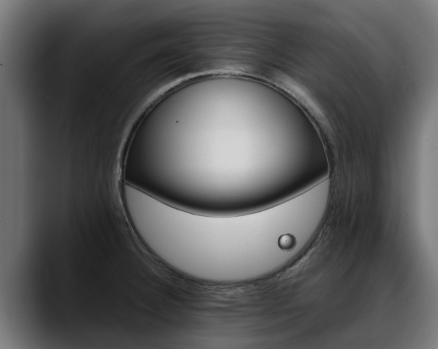 X0000088461332200705291523