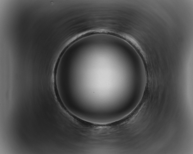 X0000088461335200705291523