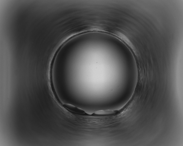 X0000088461339200705291524