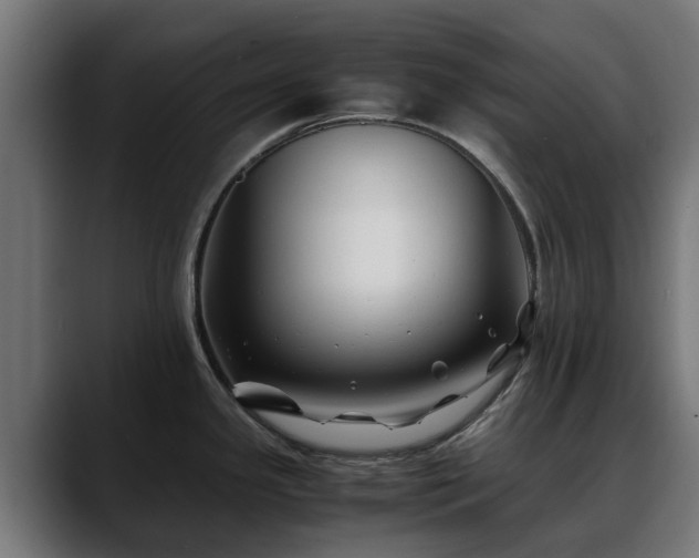 X0000088461341200705291524