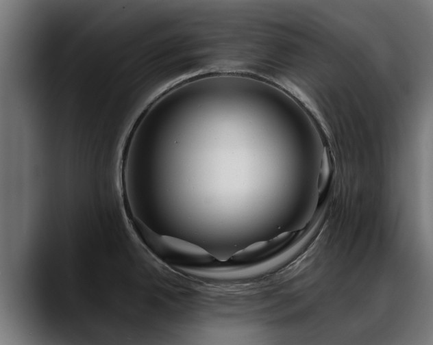 X0000088461342200705291524