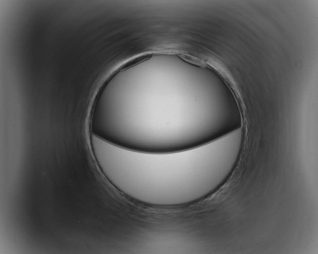 X0000088461344200705291524