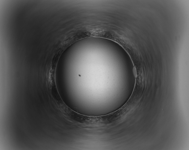 X0000088461346200705291523