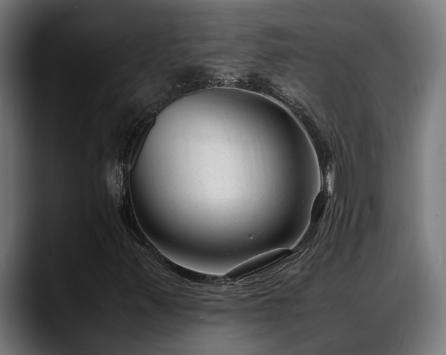 X0000088461347200705291523