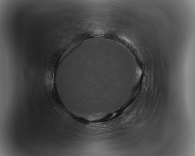 X0000088461348200705291523